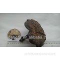Dried Glossy ganoderma,Ganoderma sinense, japonicum,Black Reishi,Ling zhi,Lingzhi,Reishi fungus,Anti cancer mushroom